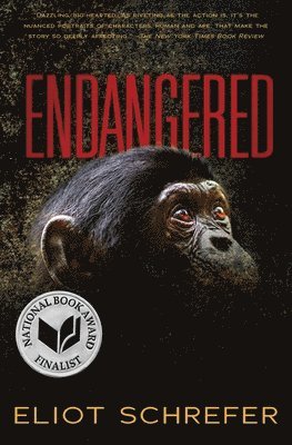 bokomslag Endangered