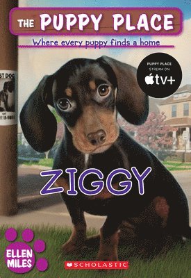 Ziggy (the Puppy Place #21) 1