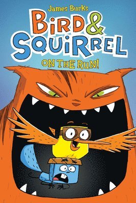 James Burks - Bird & Squirrel On the Run!: A Graphic Novel (Bird & Squirrel #1), Häftad