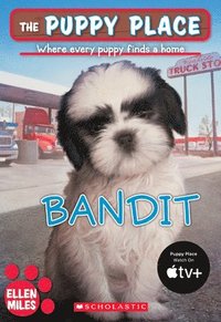 bokomslag The Puppy Place #24: Bandit