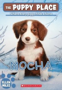 bokomslag Mocha (The Puppy Place #29)