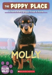 bokomslag Molly (the Puppy Place #31)