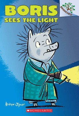 Andrew Joyner - Boris Sees the Light: A Branches Book (Boris #4), Häftad