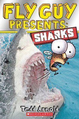Tedd Arnold - Fly Guy Presents: Sharks (Scholastic Reader, Level 2), Häftad