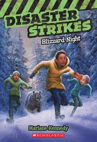 bokomslag Blizzard Night (Disaster Strikes #3)