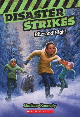 bokomslag Blizzard Night (Disaster Strikes #3)