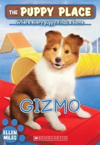 bokomslag Gizmo (the Puppy Place #33)