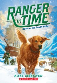 bokomslag Race to the South Pole (Ranger in Time #4)