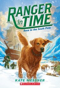 bokomslag Race to the South Pole (Ranger in Time #4): Volume 4