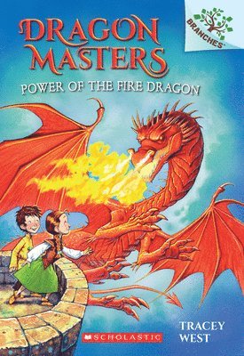 bokomslag Power of the Fire Dragon: A Branches Book (Dragon Masters #4)