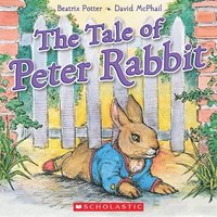 bokomslag Tale Of Peter Rabbit