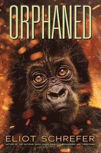 bokomslag Orphaned (Ape Quartet #4)