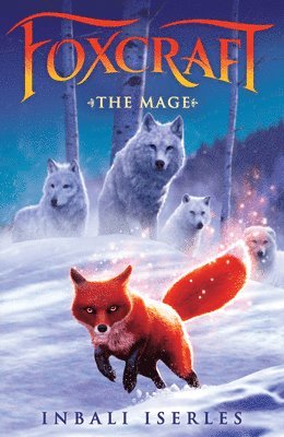 bokomslag The Mage (Foxcraft, Book 3): Volume 3