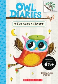 bokomslag Eva Sees A Ghost: A Branches Book (Owl Diaries #2)