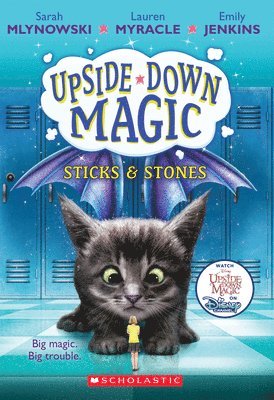 Sarah Mlynowski, Lauren Myracle - Sticks & Stones (Upside-Down Magic #2), Häftad