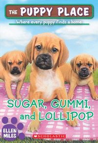 bokomslag Sugar, Gummi And Lollipop (The Puppy Place #40)