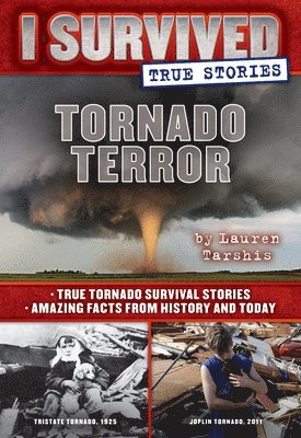 bokomslag Tornado Terror (I Survived True Stories #3): Volume 3