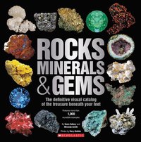 bokomslag Rocks, Minerals & Gems
