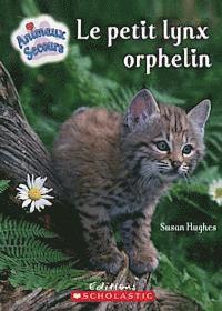 Le Petit Lynx Orphelin 1