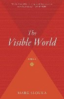 bokomslag The Visible World