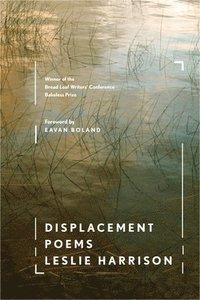 bokomslag Displacement