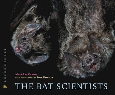 bokomslag Bat Scientists