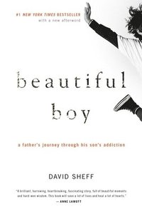 bokomslag Beautiful Boy: A Father's Journey Through His Son's Addiction