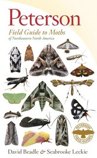 bokomslag Peterson Field Guide to Moths of Northeastern North America