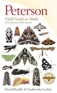 bokomslag Peterson Field Guide To Moths Of Northeastern North America