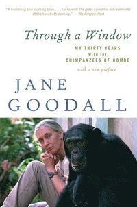 bokomslag Through a Window: My Thirty Years with the Chimpanzees of Gombe