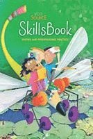 bokomslag Write Source SkillsBook Student Edition Grade 4