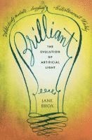 bokomslag Brilliant: The Evolution of Artificial Light