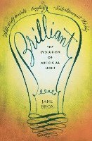 Jane Brox - Brilliant: The Evolution of Artificial Light, Häftad