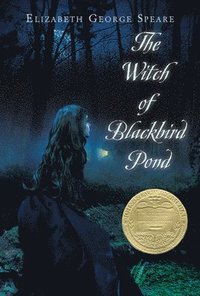 bokomslag Witch Of Blackbird Pond