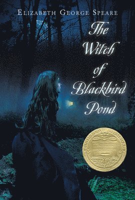 bokomslag The Witch of Blackbird Pond