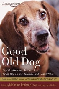 bokomslag Good Old Dog: Expert Advice for Keeping Your Aging Dog Happy, Healthy, and Comfortable