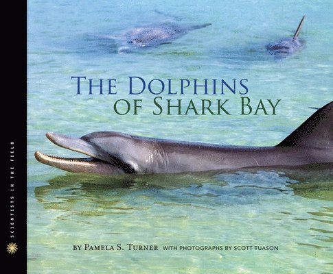 Pamela S. Turner, Pamela S Turner - The Dolphins of Shark Bay, Inbunden