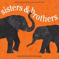 bokomslag Sisters & Brothers