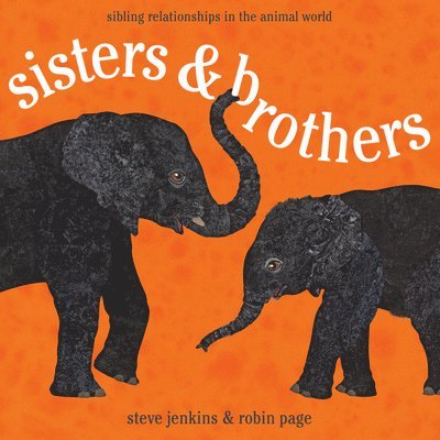 Robin Page - Sisters & Brothers: Sibling Relationships in the Animal World, Häftad