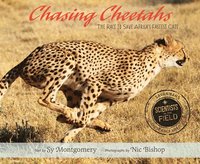 bokomslag Chasing Cheetahs