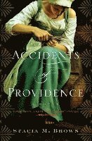 Accidents of Providence 1