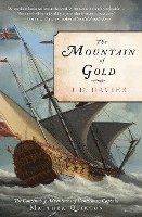 bokomslag Mountain of Gold
