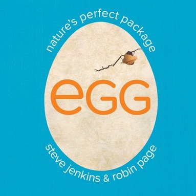 Robin Page, Steve Jenkins - Egg: Nature's Perfect Package, Inbunden