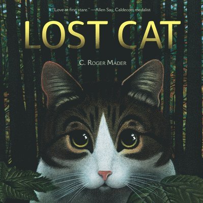 Lost Cat