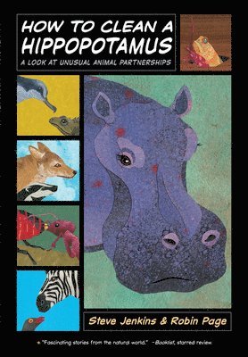 Robin Page - How to Clean a Hippopotamus: A Look at Unusual Animal Partnerships, Häftad