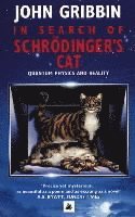 bokomslag In Search Of Schrodinger's Cat
