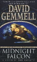 Midnight Falcon
