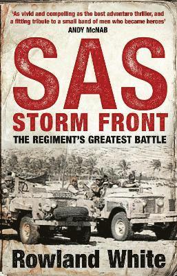 bokomslag SAS: Storm Front