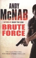 bokomslag Brute Force