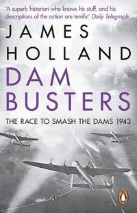 bokomslag Dam Busters